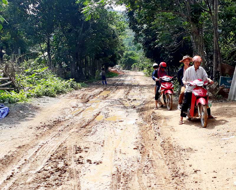 CẦU TREO DÂN SINH MÝ ĐÔNG CÀNH